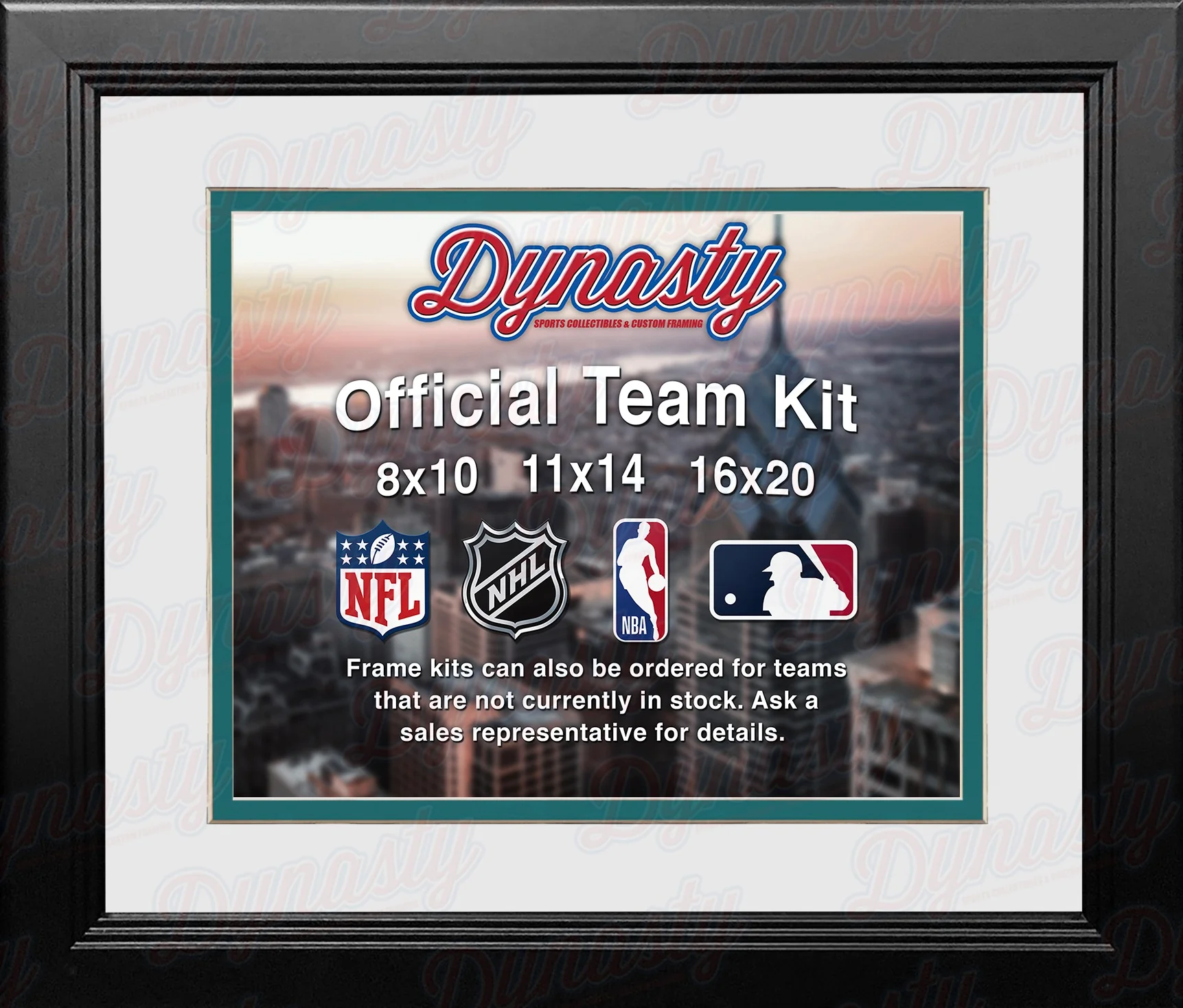 Jacksonville Jaguars Custom NFL Football 16x20 Picture Frame Kit (Multiple Colors)