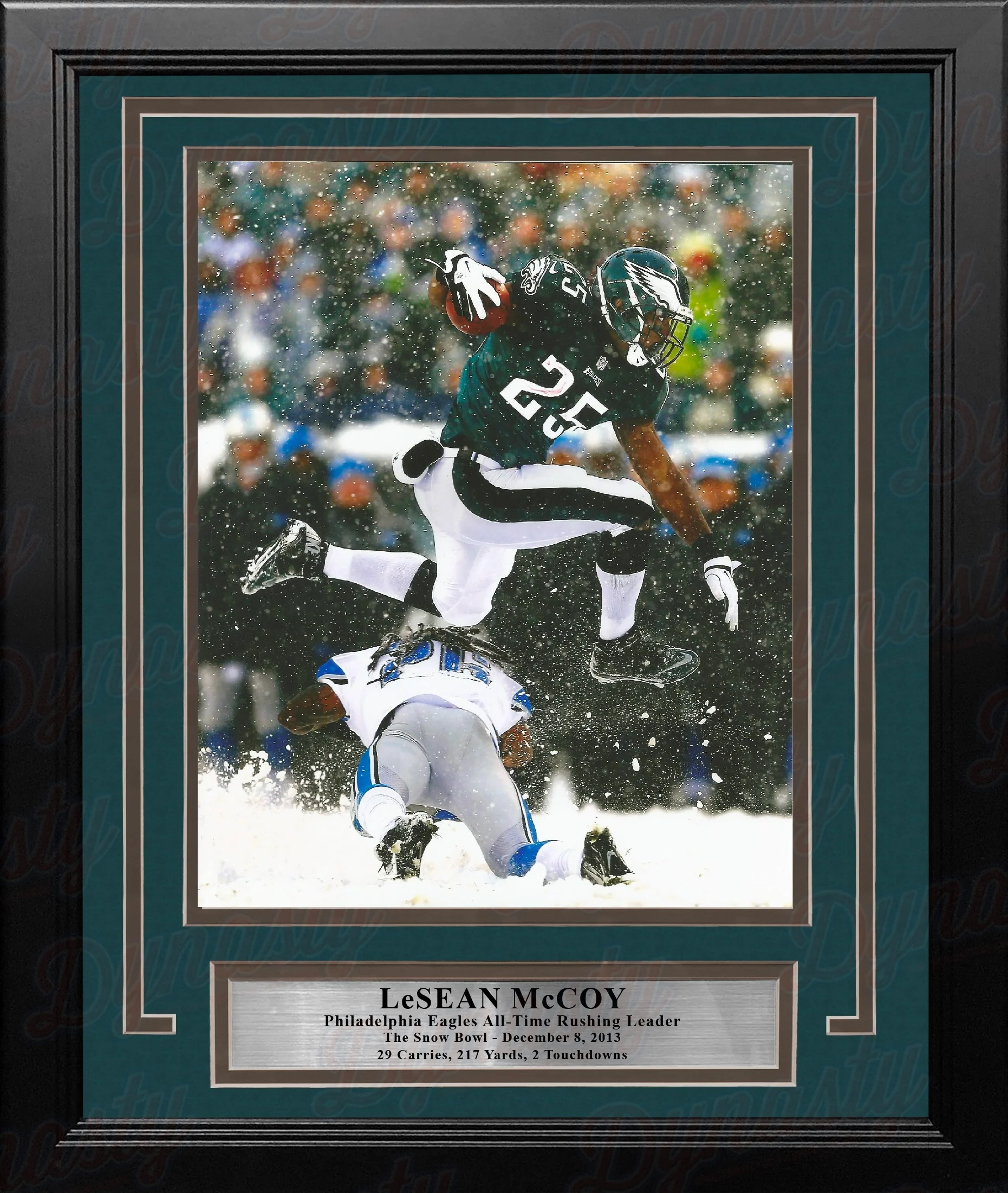 LeSean McCoy Snow Bowl Philadelphia Eagles 8" x 10" Framed Football Photo