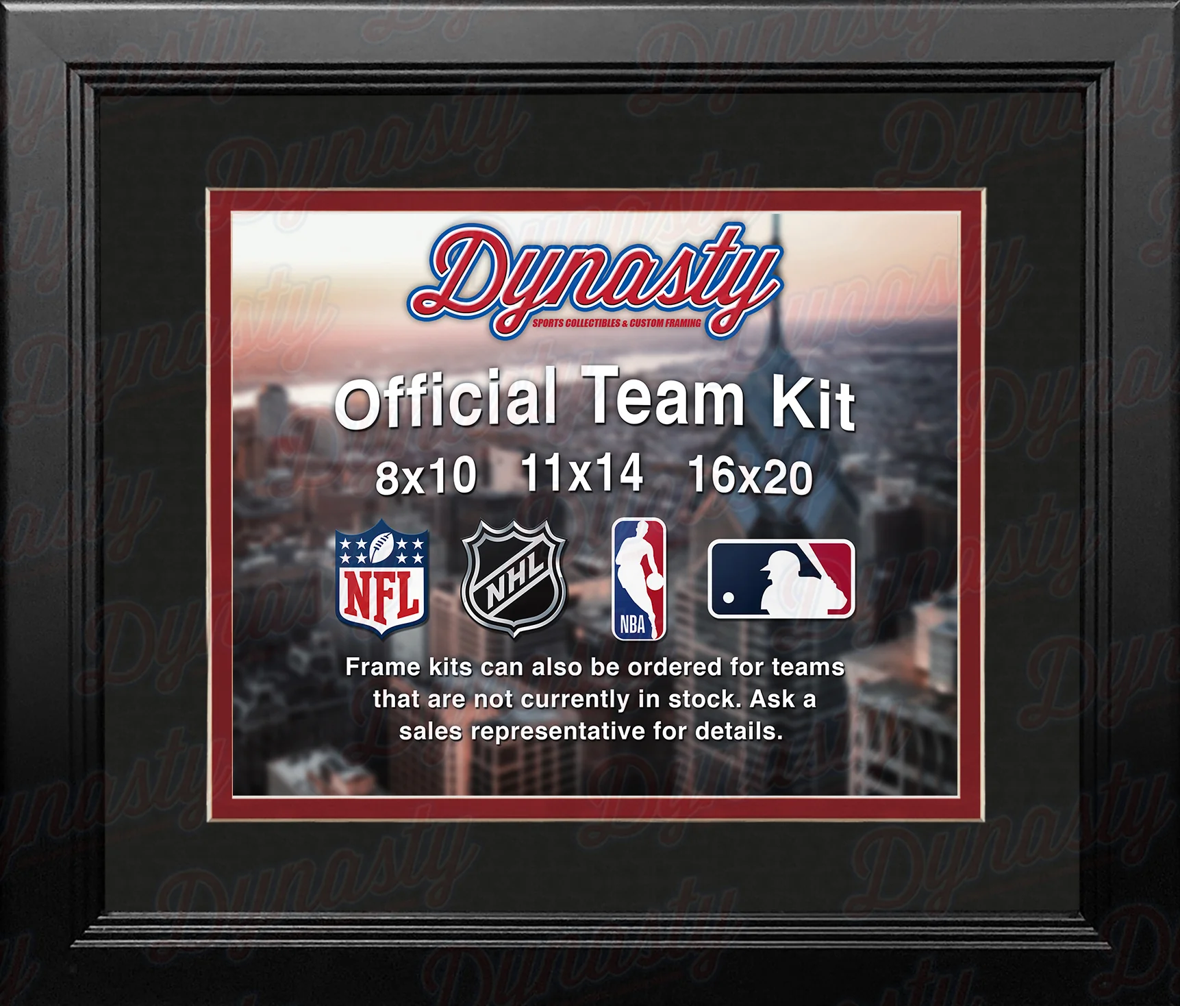 NBA Basketball Photo Picture Frame Kit - Miami Heat (Black Matting, Red Trim)
