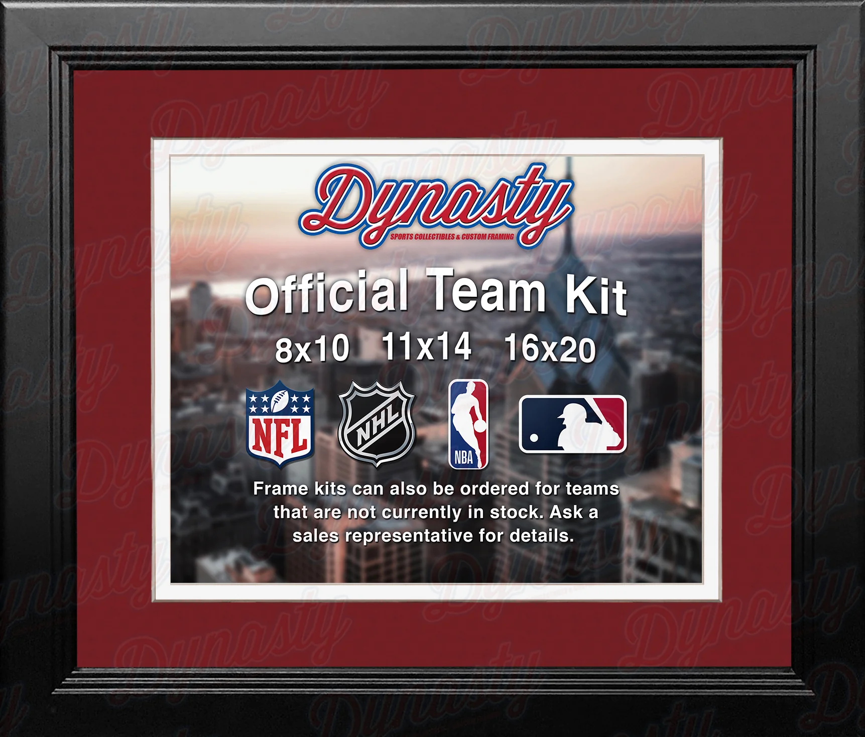 NHL Hockey Photo Picture Frame Kit - Detroit Red Wings (Red Matting, White Trim)