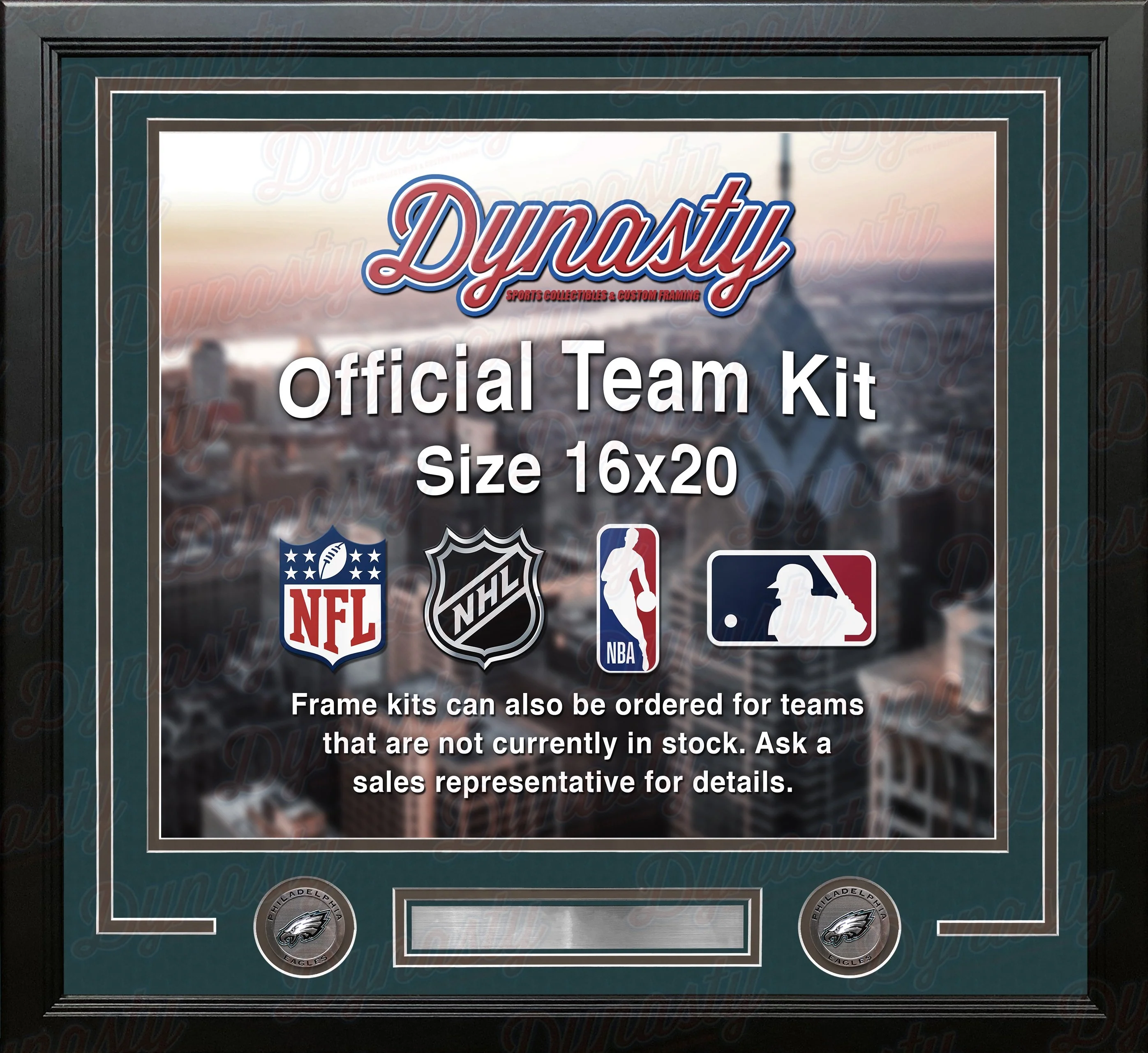 Philadelphia Eagles Custom NFL Football 16x20 Picture Frame Kit (Multiple Colors)