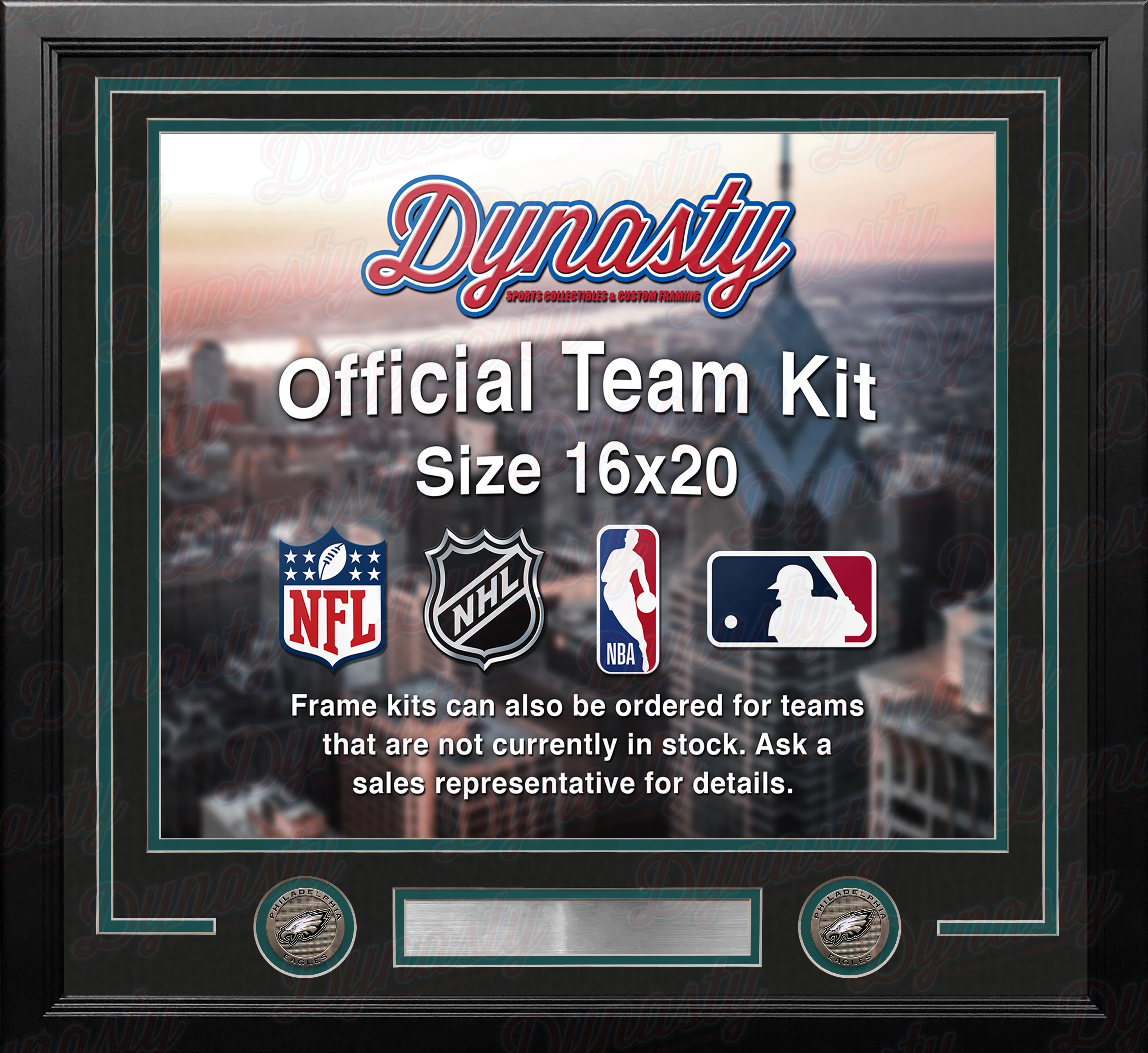 Philadelphia Eagles Custom NFL Football 16x20 Picture Frame Kit (Multiple Colors) - Image 2