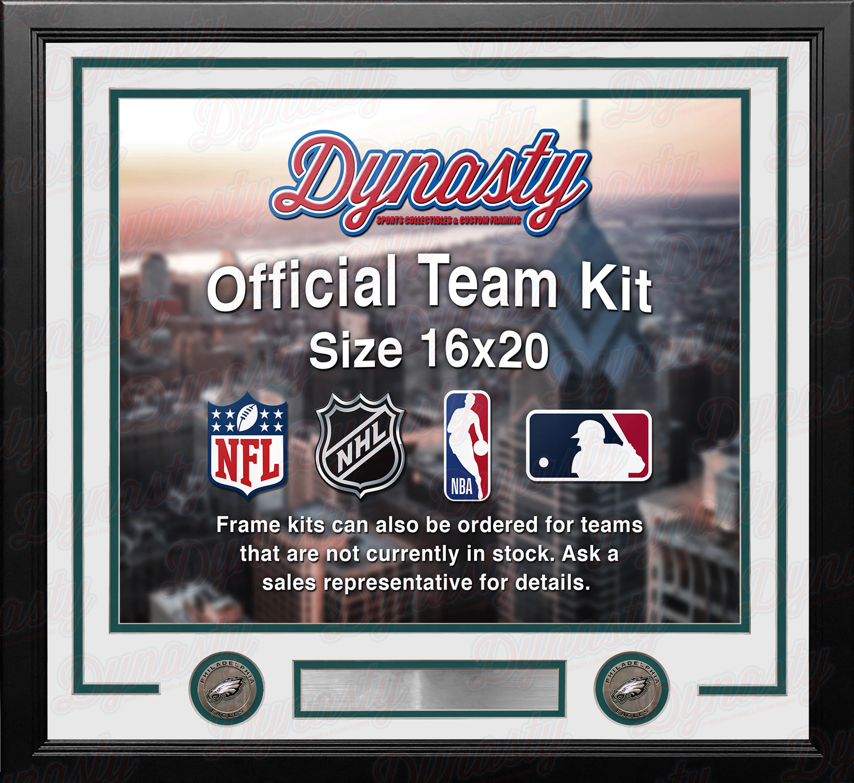 Philadelphia Eagles Custom NFL Football 16x20 Picture Frame Kit (Multiple Colors) - Image 3