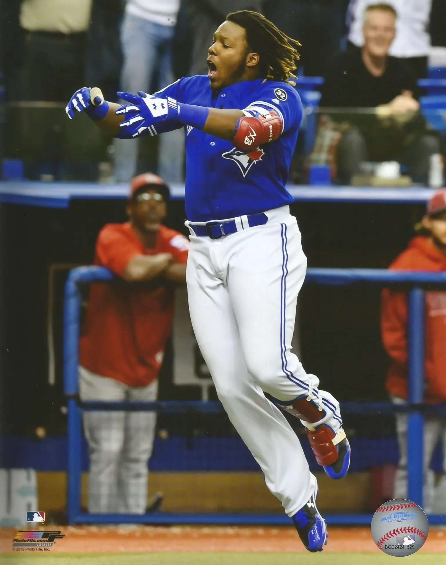 Vladimir Guerrero, Jr. Walk-Off Home Run Celebration Toronto Blue Jays 11" x 14" Baseball Photo